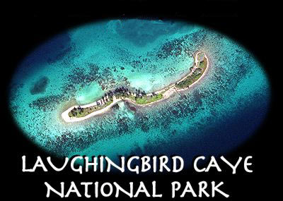 laughing bird caye aerial