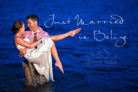 phoca thumb l out of the sea chabil mar belize resort