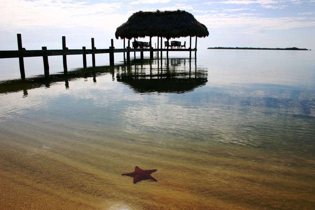 Chabil Mar Belize Resort Starfish and Pier