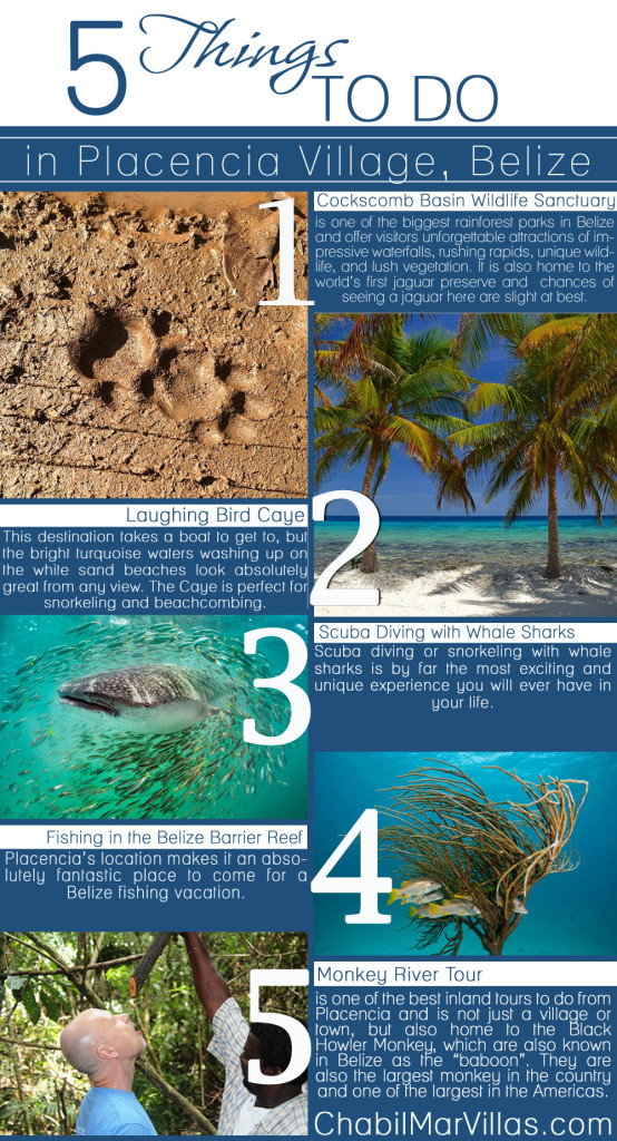 Infographics Placencia TOP-5