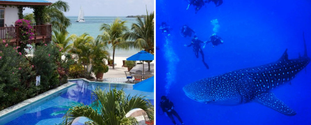 belize jungle and sea vacation package