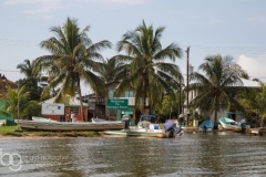 Belize Adventures, Tours and Excursions, Scuba Diving to Jungle