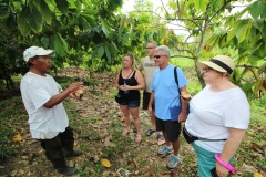 Chocolate and Spice Farm Educational Tours