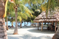 A Sailing and Snorkeling  Day to Moho Caye from Chabil Mar Resort