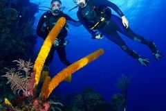 Dive the World's Second Largest Barrier Reef in Belize