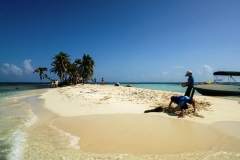 Silk Caye - Snorkel - Nurse Sharks - Rays - Sea Turtles