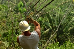 Zip Lining Daily Adventures
