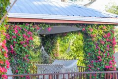 Each of the Buildings (5 of Them ) that include our 19 Villas and 1 Honeymoon Suite are draped in Bougainvillea