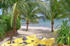 Our Complimentary Kayaks & Paddle Boards Await You