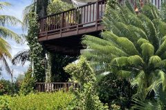 Bear Topiary at Chabil Mar Resort Belize