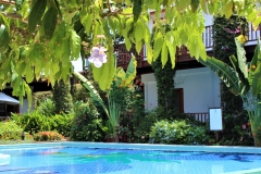 Dangling flowered vines adorn a Pergola to the Palm Tree Beach-Side Pool