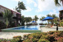 Palm Tree Infinity Swimming Pool View to Caribbean