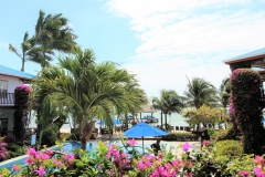 View to the Caribbean and Beach overlooking the "Palm Tree" Infinity Pool