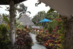 The beautiful lush gardens surrounding our Palapa Bar, Lounge and Grills