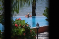 Two Infinity Pools Nestled in Lush Gardens on the Beach - Relaxing in the Dolphin Pool