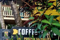 Coffee Shops in Placencia