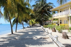 Scenes from Placencia Village - The Path to Yoli's Beach Bar