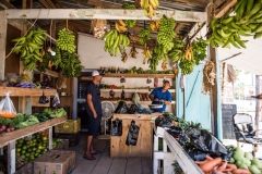 There are multiple vegetable stands in Placencia Village