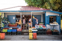 There are multiple Vegetable stands in Placencia Village, along with Grocery Markets