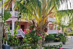 Placencia Sidewalk Scenes