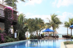 Palm Tree Pool to the beach closeup. Your Belize Vacation awaits you!