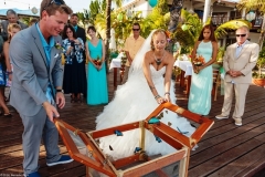 Butterflies of Love for Brent and Lindsay
