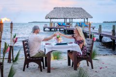 Honeymoon Dinner