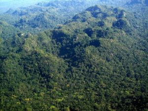 Doyle's Delight Highest Peak in Belize