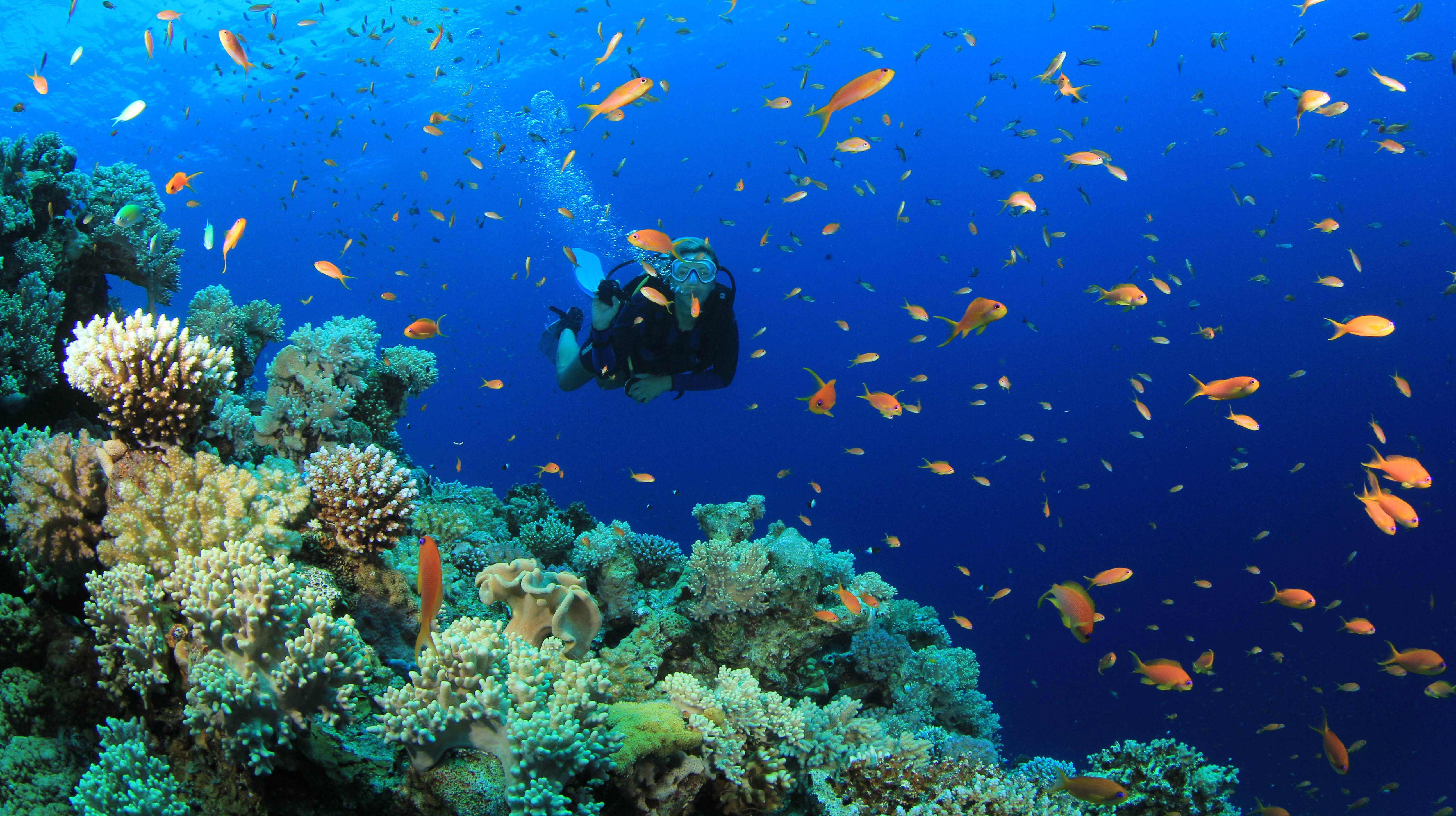 belize scuba diving