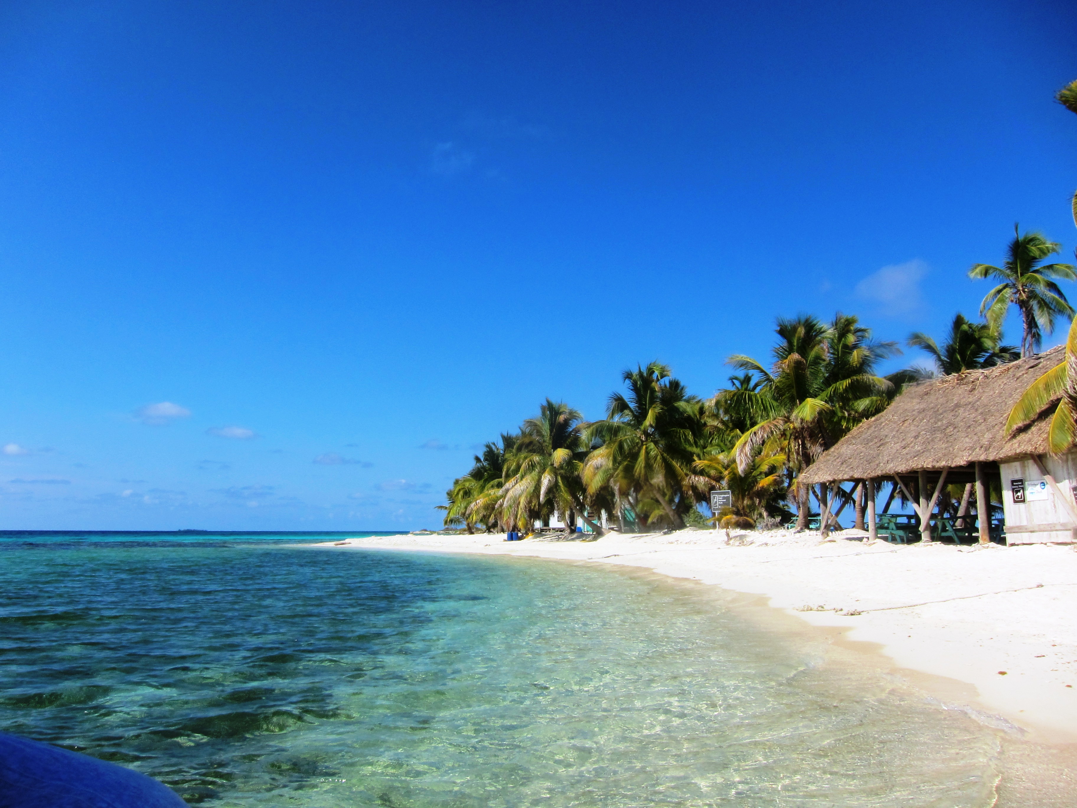 laughing bird caye belize