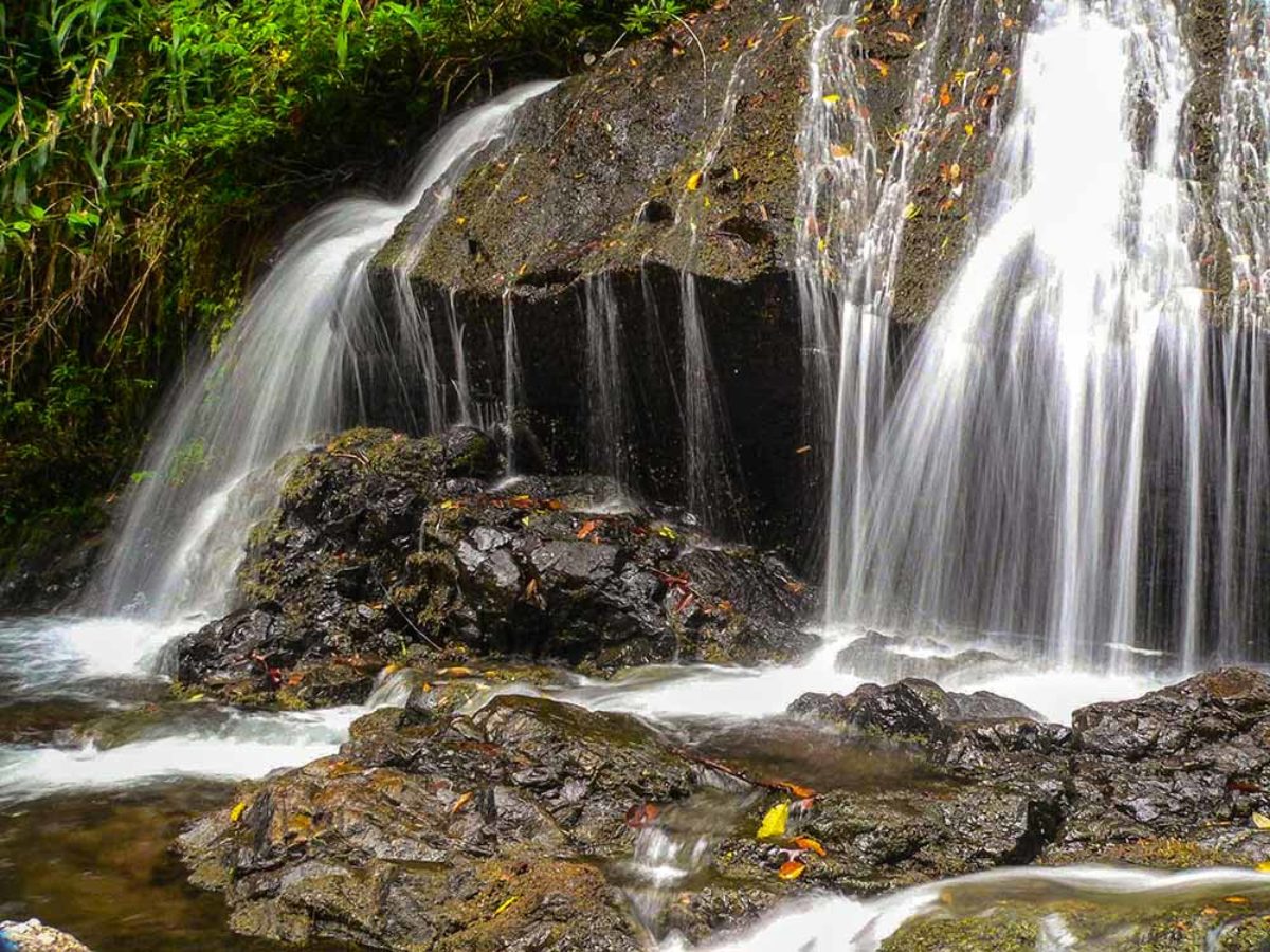 Mayflower-Bocawina-National-Park