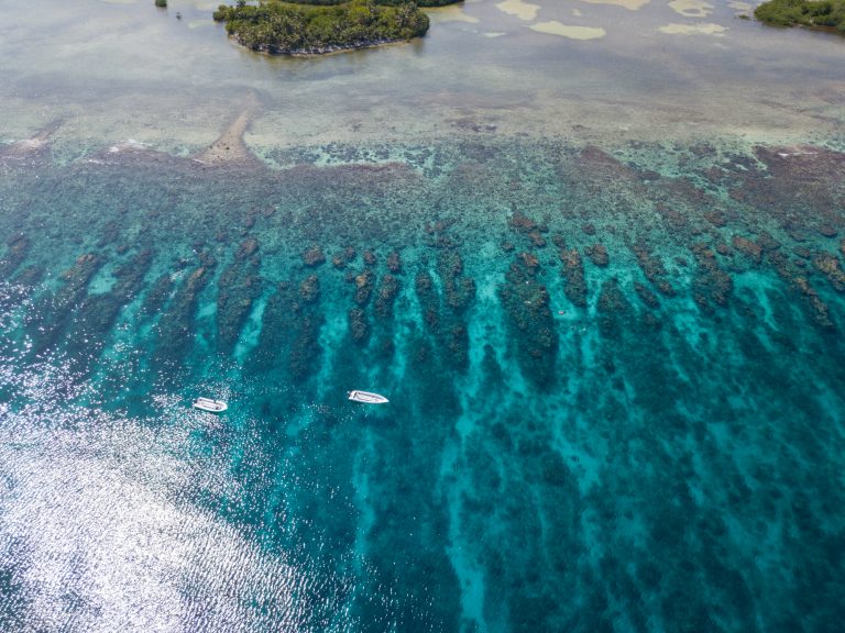 Belize Barrier Reef Vacations: Where to Stay, Best Places to Go