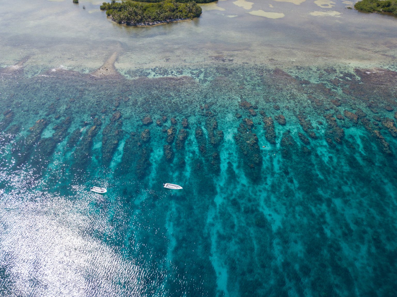 belize barrier reef tours