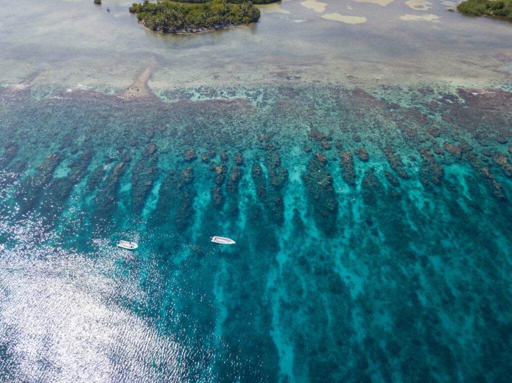 Visit the Belize Barrier Reef