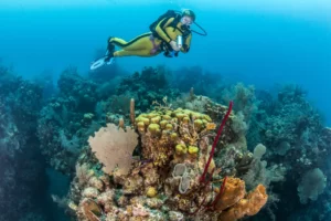 Ever Heard of “Bleisure” Travel? It’s Better in Belize!