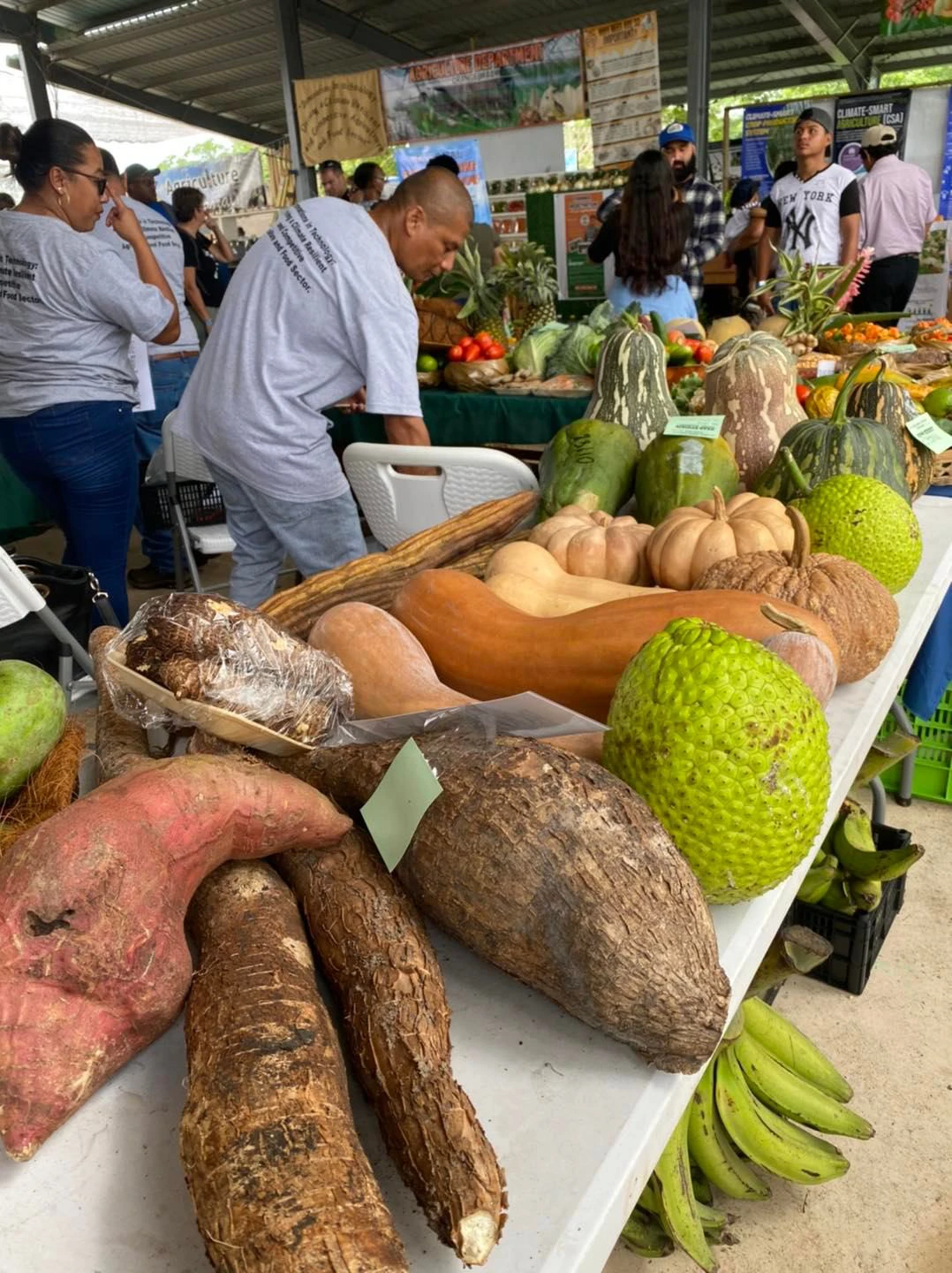 belize national agric fair