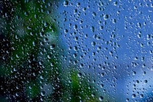 Belize Rainy Season Guide: Why & When To Visit