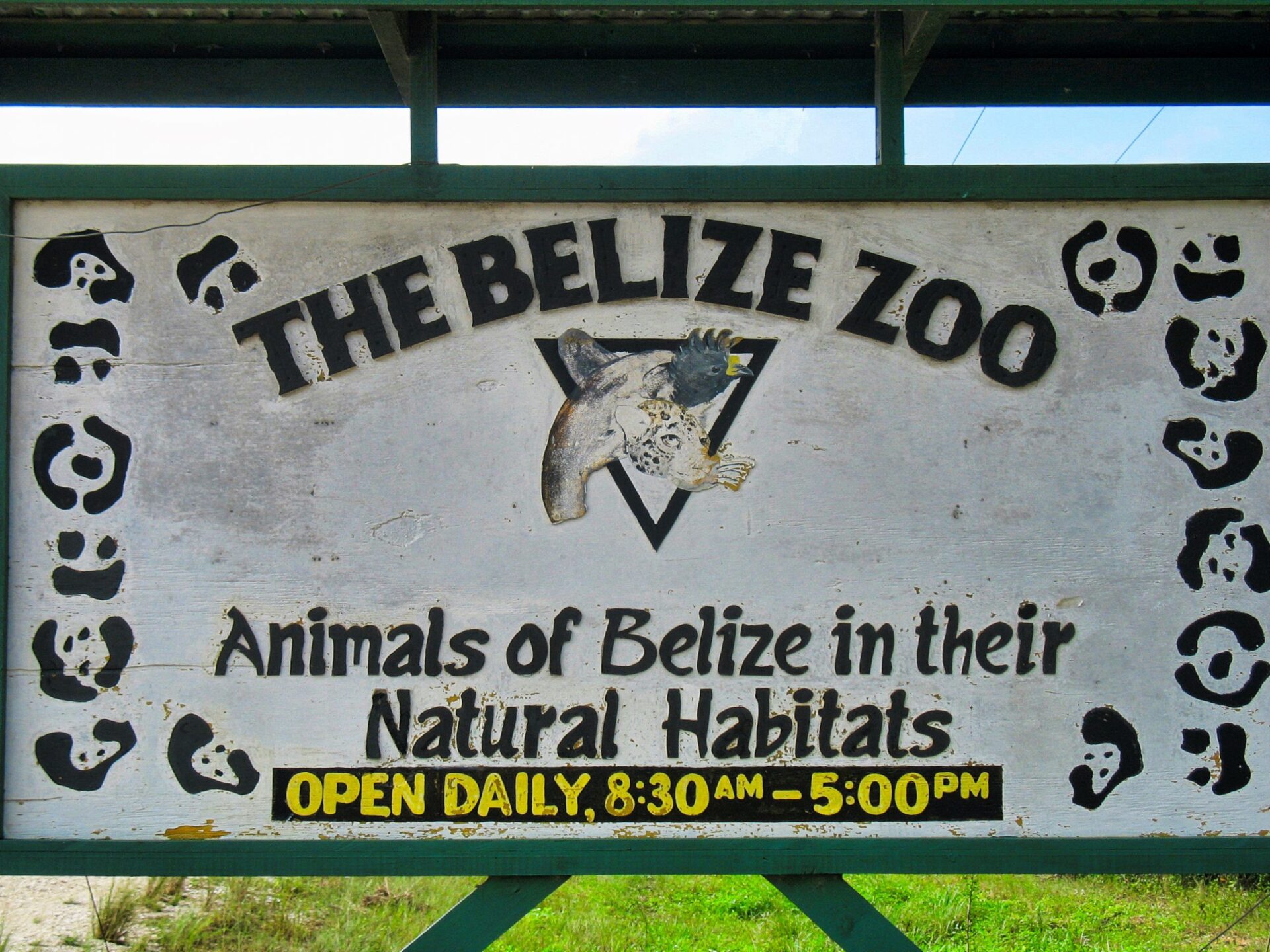 Experience Belize Zoo