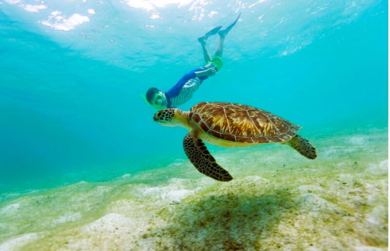 Belize barrier reef