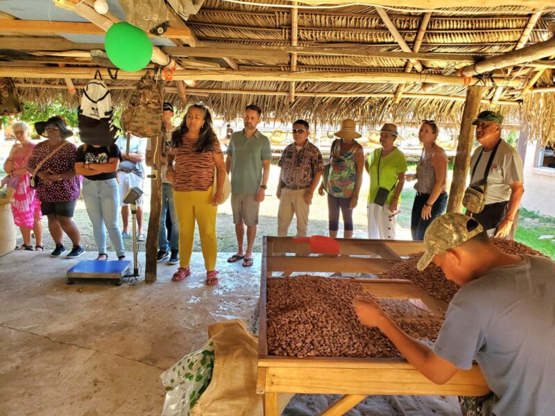 Belize chocolate festival