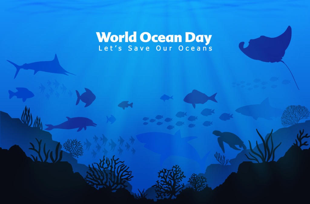 Happy World Oceans Day from Chabil Mar!