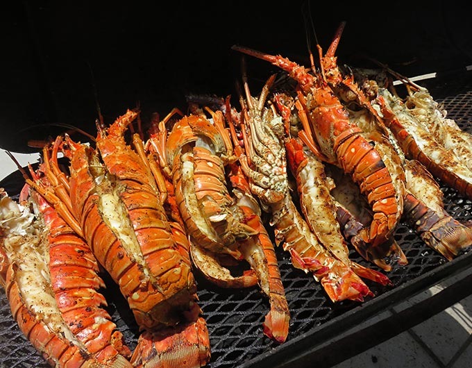  Belize lobster festival
