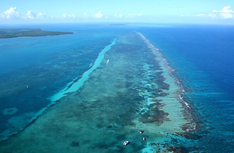 reef exploration