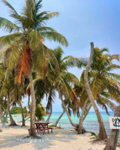 How to Visit Laughing Bird Caye from Placencia: A Complete Guide