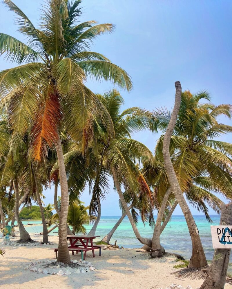  Laughing Bird Caye adventure