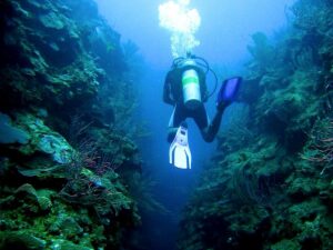 Belize: The Ultimate Marine Destination for Snorkeling and Diving