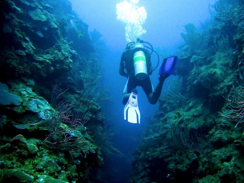  Belize Barrier Reef snorkeling