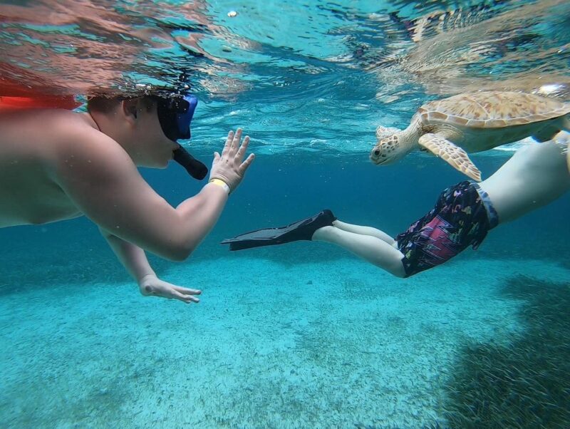  snorkeling and diving in Belize