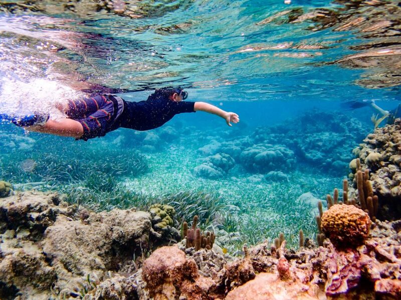  Belize underwater adventure