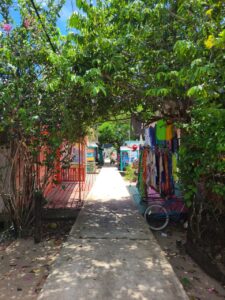 Top 10 Things to Do in Placencia Belize This January and February